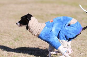 年の初めの良い笑顔♪ 年の初めの良い笑顔♪