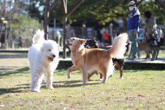 年の初めの良い笑顔♪ 年の初めの良い笑顔♪