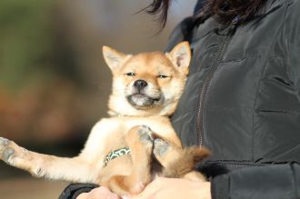 年の初めの良い笑顔♪ 年の初めの良い笑顔♪