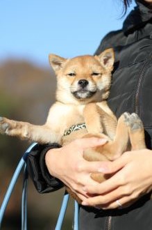 年の初めの良い笑顔♪ 年の初めの良い笑顔♪