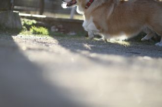 年の初めの良い笑顔♪ 年の初めの良い笑顔♪