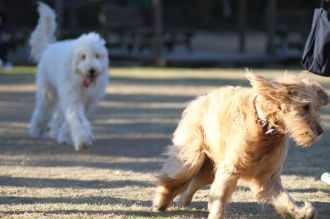 年の初めの良い笑顔♪ 年の初めの良い笑顔♪