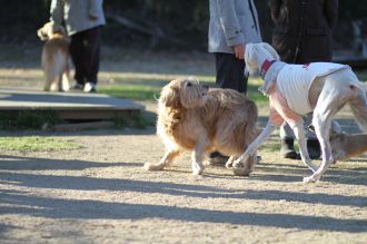 年の初めの良い笑顔♪ 年の初めの良い笑顔♪