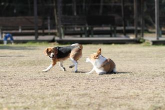 初泳ぎ! 初泳ぎ!
