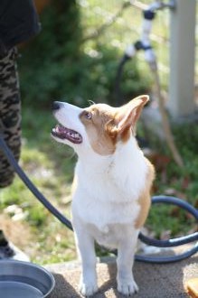 初泳ぎ! 初泳ぎ!