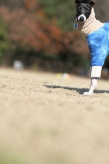 初泳ぎ! 初泳ぎ!
