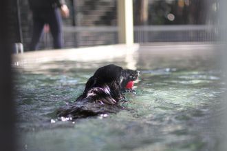 初泳ぎ! 初泳ぎ!