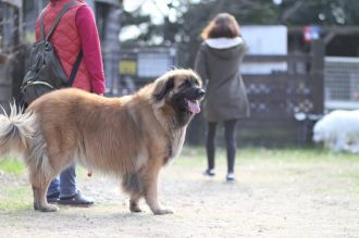 初泳ぎ! 初泳ぎ!