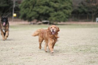 初泳ぎ! 初泳ぎ!