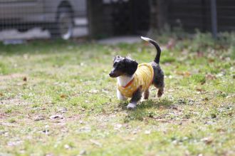 初泳ぎ! 初泳ぎ!