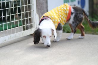 初泳ぎ! 初泳ぎ!
