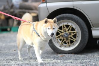 初泳ぎ! 初泳ぎ!