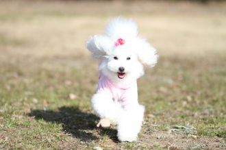 初泳ぎ! 初泳ぎ!