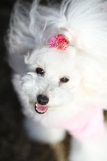 初泳ぎ! 初泳ぎ!