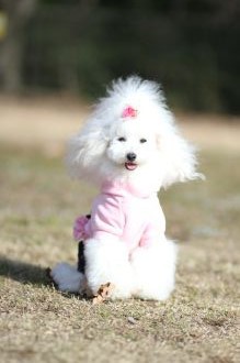 初泳ぎ! 初泳ぎ!
