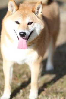 初泳ぎ! 初泳ぎ!