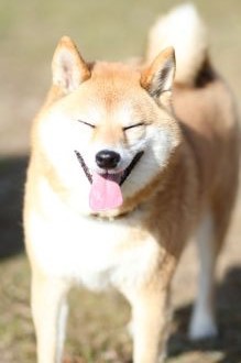 初泳ぎ! 初泳ぎ!