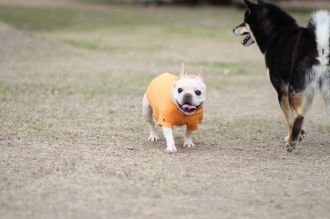 初泳ぎ! 初泳ぎ!