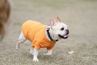 初泳ぎ! 初泳ぎ!