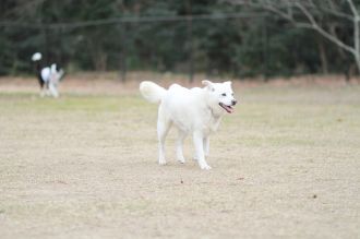 初泳ぎ! 初泳ぎ!