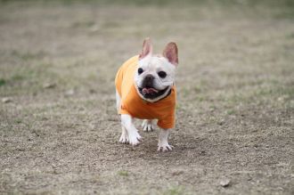 初泳ぎ! 初泳ぎ!