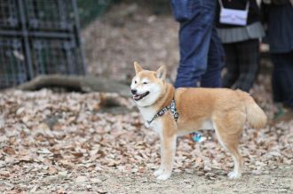 初泳ぎ! 初泳ぎ!