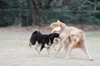 初泳ぎ! 初泳ぎ!