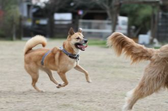初泳ぎ! 初泳ぎ!