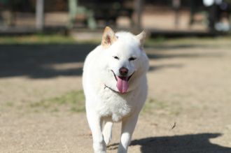 いや~それほどでも。 いや~それほどでも。