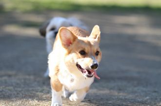 うそだろぉ!!?? うそだろぉ!!??