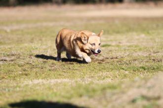 うそだろぉ!!?? うそだろぉ!!??