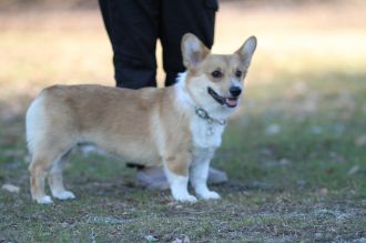 うそだろぉ!!?? うそだろぉ!!??