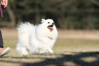 うそだろぉ!!?? うそだろぉ!!??