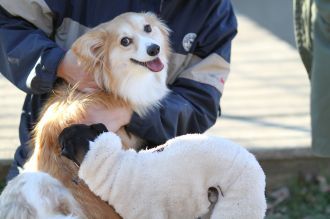 うそだろぉ!!?? うそだろぉ!!??