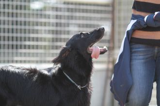 目を閉じると浮かんでくる。 目を閉じると浮かんでくる。