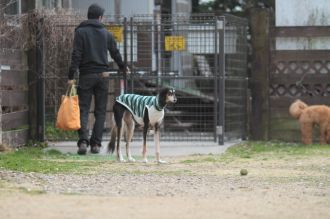 目を閉じると浮かんでくる。 目を閉じると浮かんでくる。