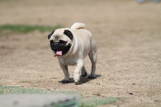 あ~はいはい、まだですかねぇ・・ あ~はいはい、まだですかねぇ・・