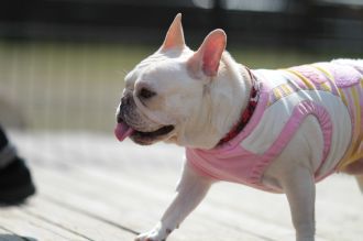 あ~はいはい、まだですかねぇ・・ あ~はいはい、まだですかねぇ・・