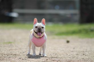 あ~はいはい、まだですかねぇ・・ あ~はいはい、まだですかねぇ・・
