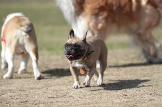 あ~はいはい、まだですかねぇ・・ あ~はいはい、まだですかねぇ・・