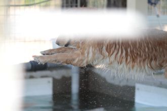 あ~はいはい、まだですかねぇ・・ あ~はいはい、まだですかねぇ・・