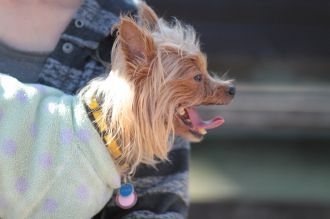あ~はいはい、まだですかねぇ・・ あ~はいはい、まだですかねぇ・・