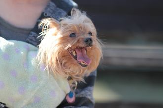あ~はいはい、まだですかねぇ・・ あ~はいはい、まだですかねぇ・・