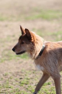 あ~はいはい、まだですかねぇ・・ あ~はいはい、まだですかねぇ・・
