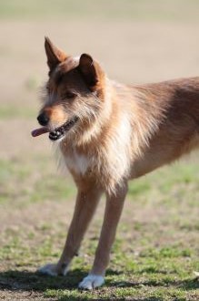 あ~はいはい、まだですかねぇ・・ あ~はいはい、まだですかねぇ・・