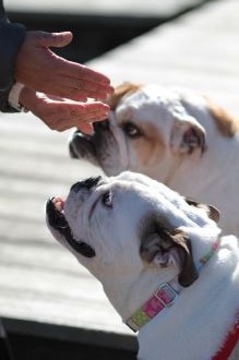 あ~はいはい、まだですかねぇ・・ あ~はいはい、まだですかねぇ・・