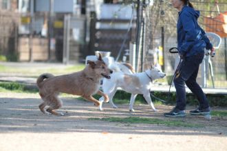 あ~はいはい、まだですかねぇ・・ あ~はいはい、まだですかねぇ・・