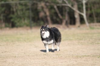 あ~はいはい、まだですかねぇ・・ あ~はいはい、まだですかねぇ・・