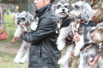 静シュナオフ♪ 静シュナオフ♪