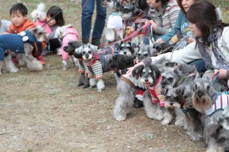 静シュナオフ♪ 静シュナオフ♪